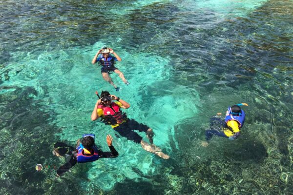 Snorkeling Tour – Dive into a World of Underwater Wonders - Image 3