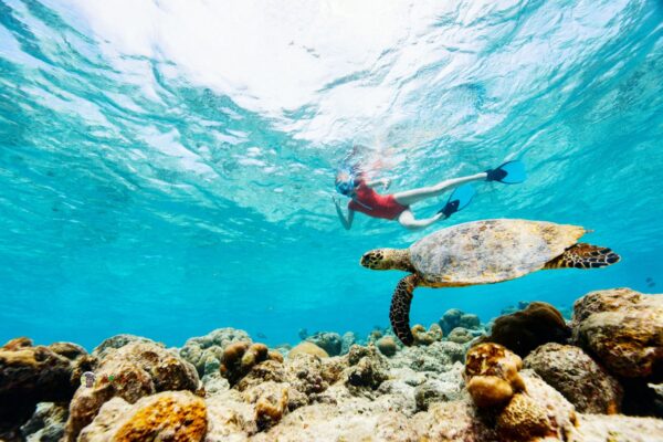 Snorkeling Tour – Dive into a World of Underwater Wonders