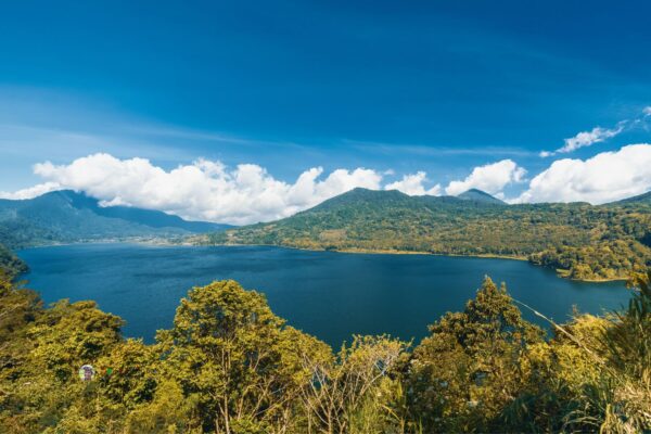 Bali Dolphin Tour – Morning Magic & Mountain Serenity - Image 4