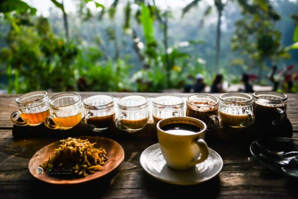 Ubud Tours 2 – A Cultural Tapestry Woven in the Heart of Bali.