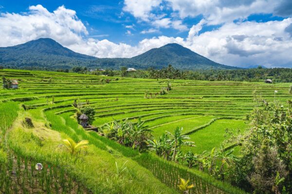 Ulun Danu Tour – Explore Bali’s Sacred Temples and Timeless Landscapes. - Image 4