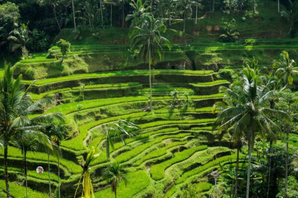 Waterfall tour - Experience Nature's Hidden Wonders - Image 5