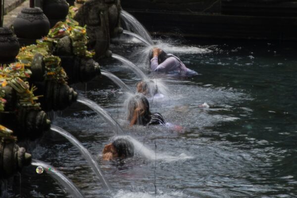 Ubud Tour – Embrace the Soul of Bali in One Inspiring Day - Image 6