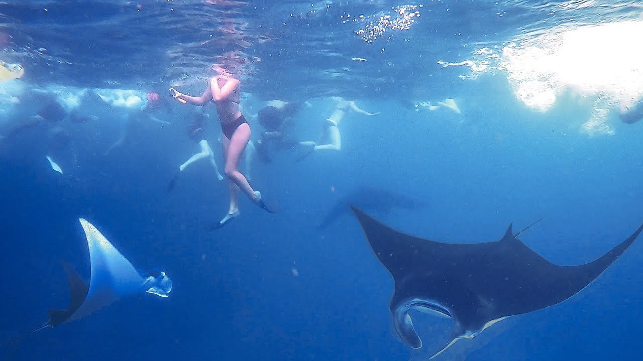 Nusa Penida Snorkeling Tour