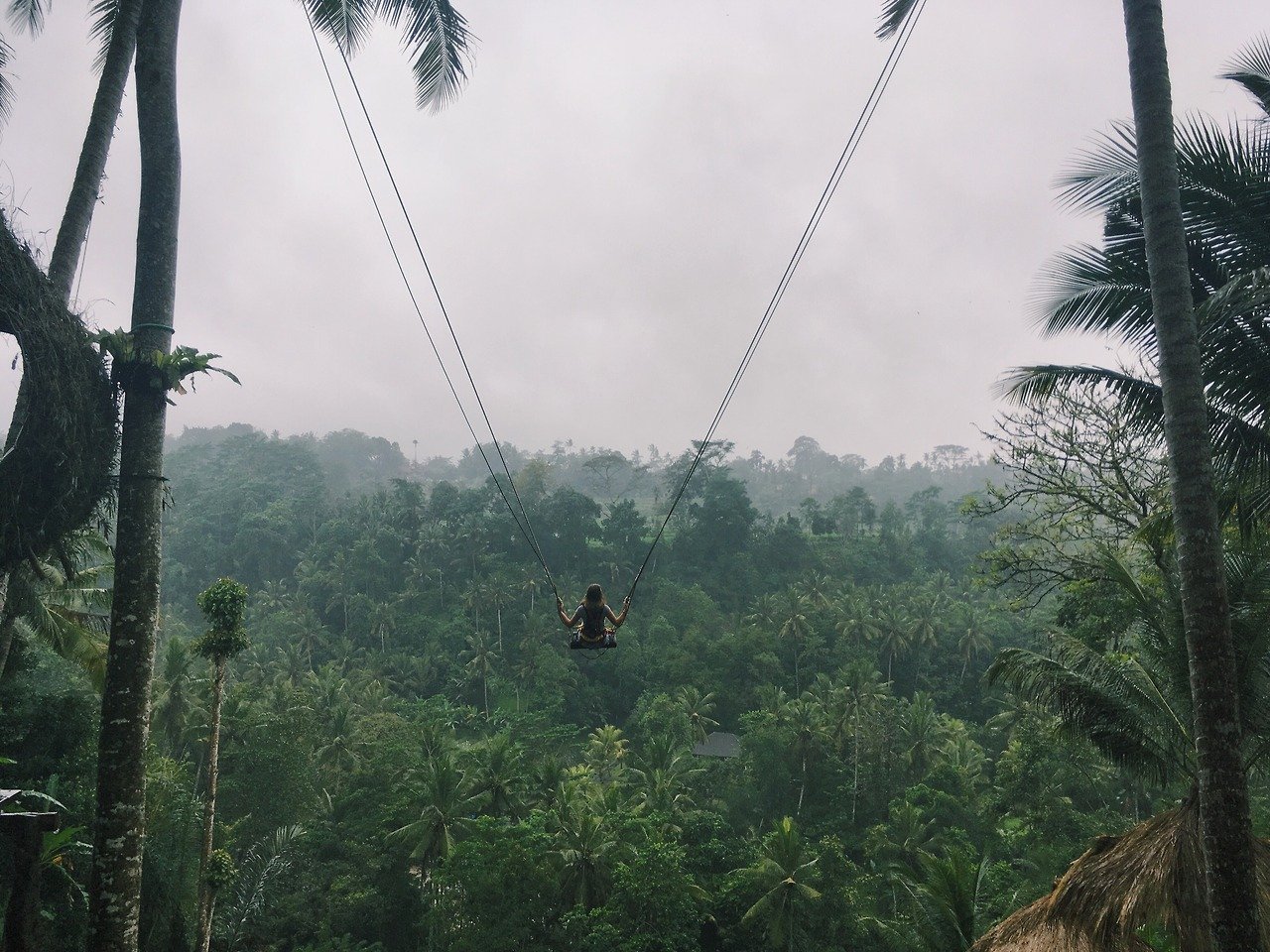 Ubud Tour: Whitewater Rafting, Jungle Swing & Coffee Tasting