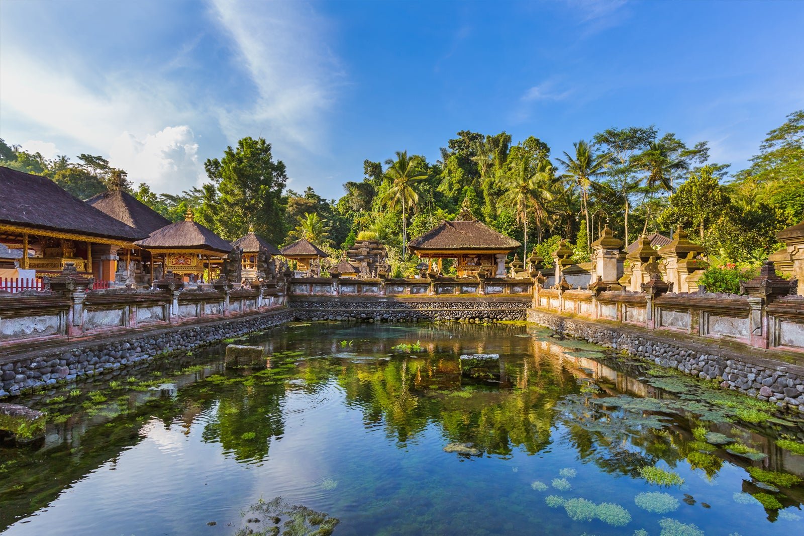 Ubud Essentials: Whitewater Rafting, Swing & Sacred Water Temple